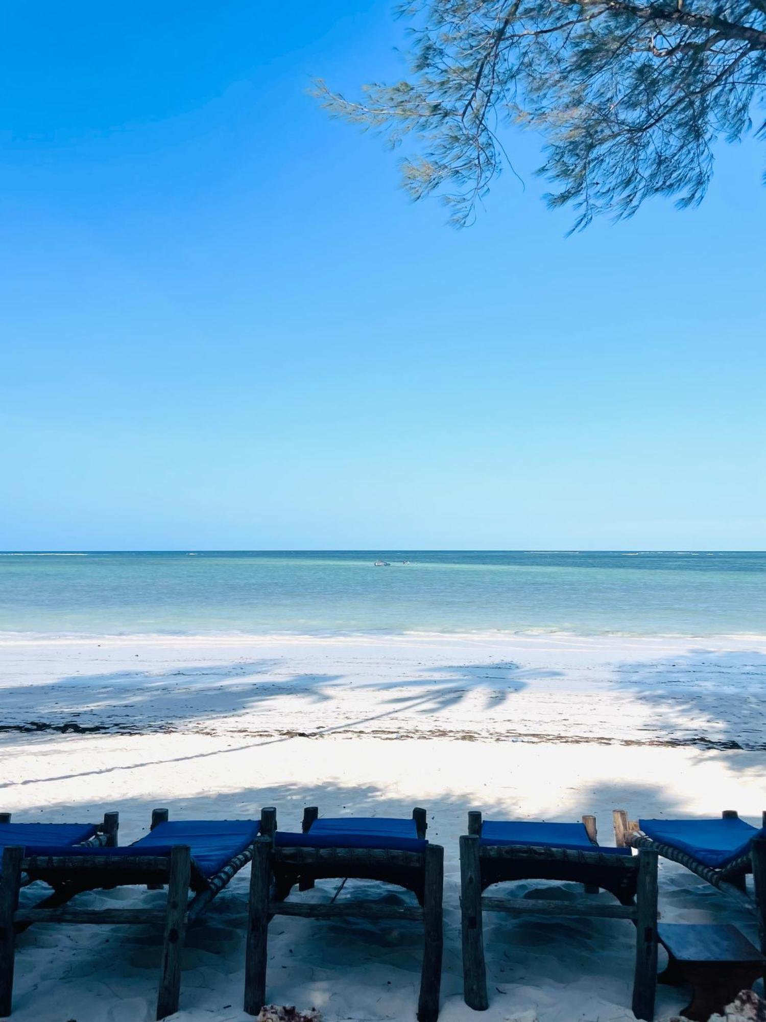 Cdm Zanzibar