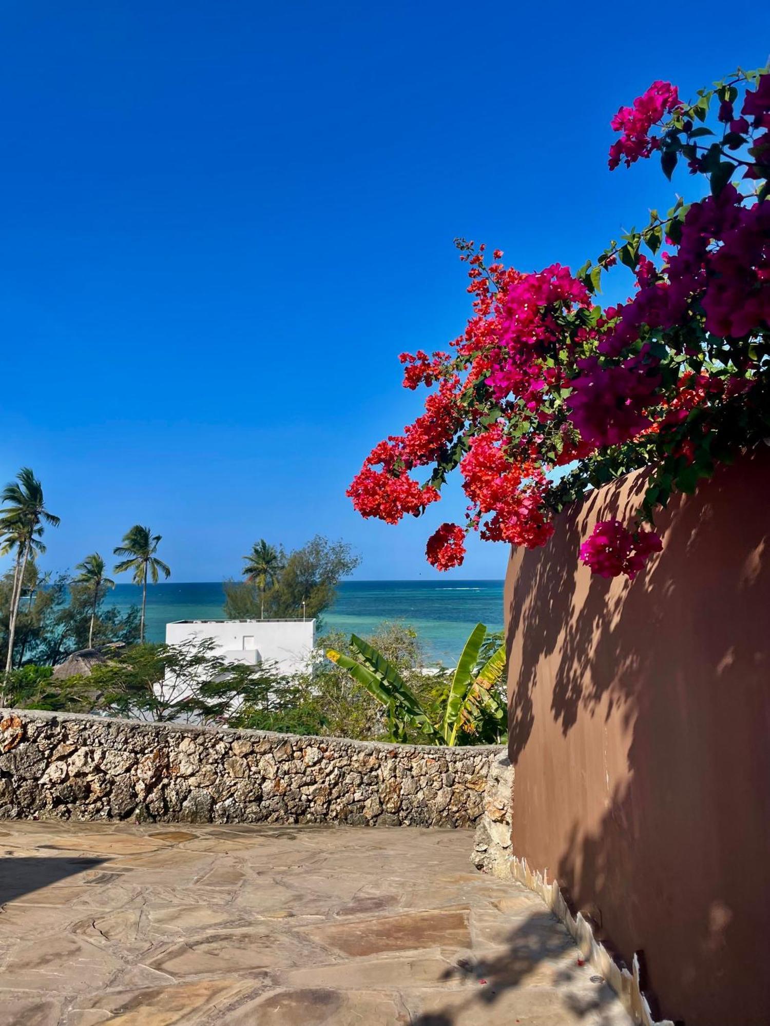 Cdm Zanzibar